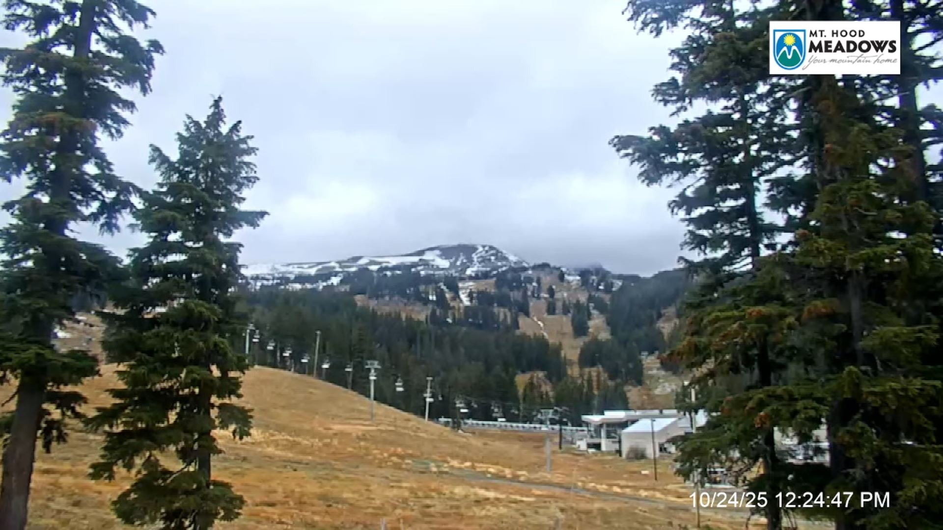 Webcam en direct de Mt Hood Meadow, Oregon, USA