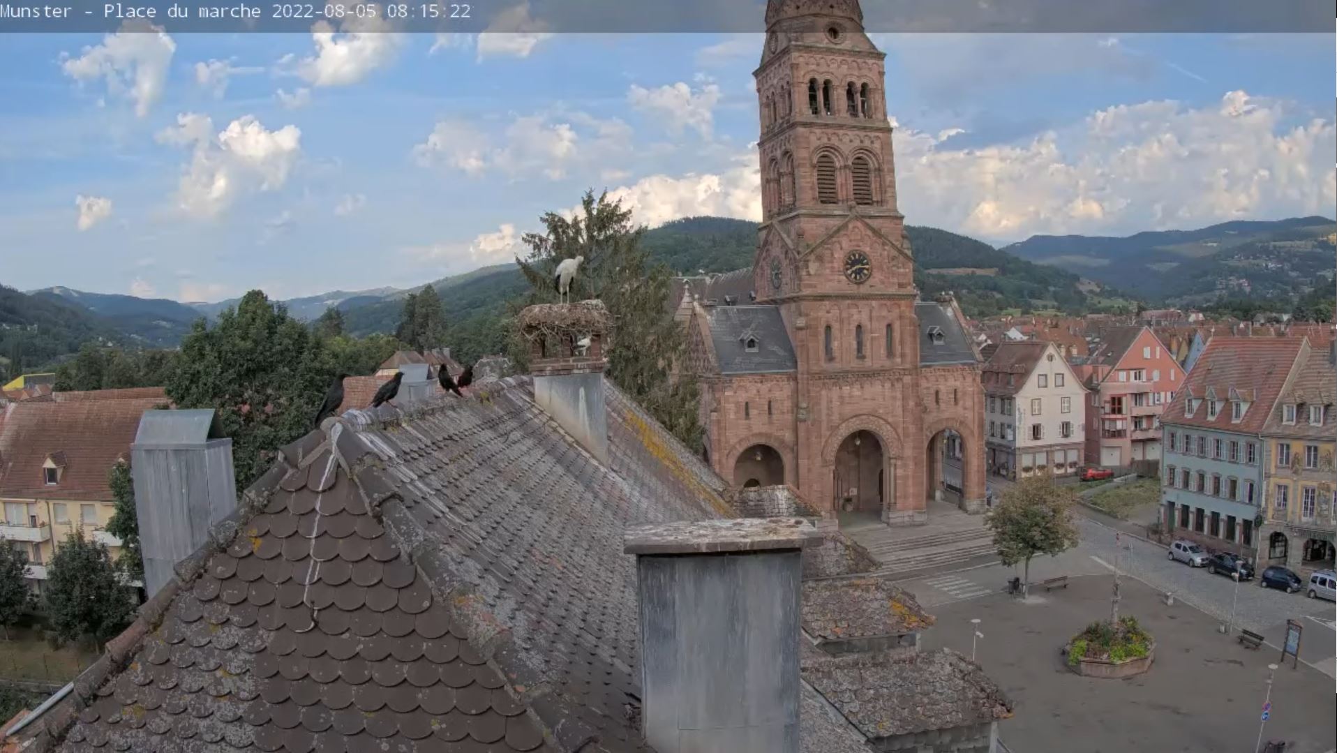 Webcam en direct de Munster, Grand-Est, France