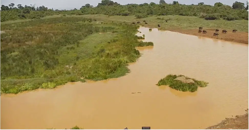 Webcam en direct de Mweiga, Nyandarua, Kenya