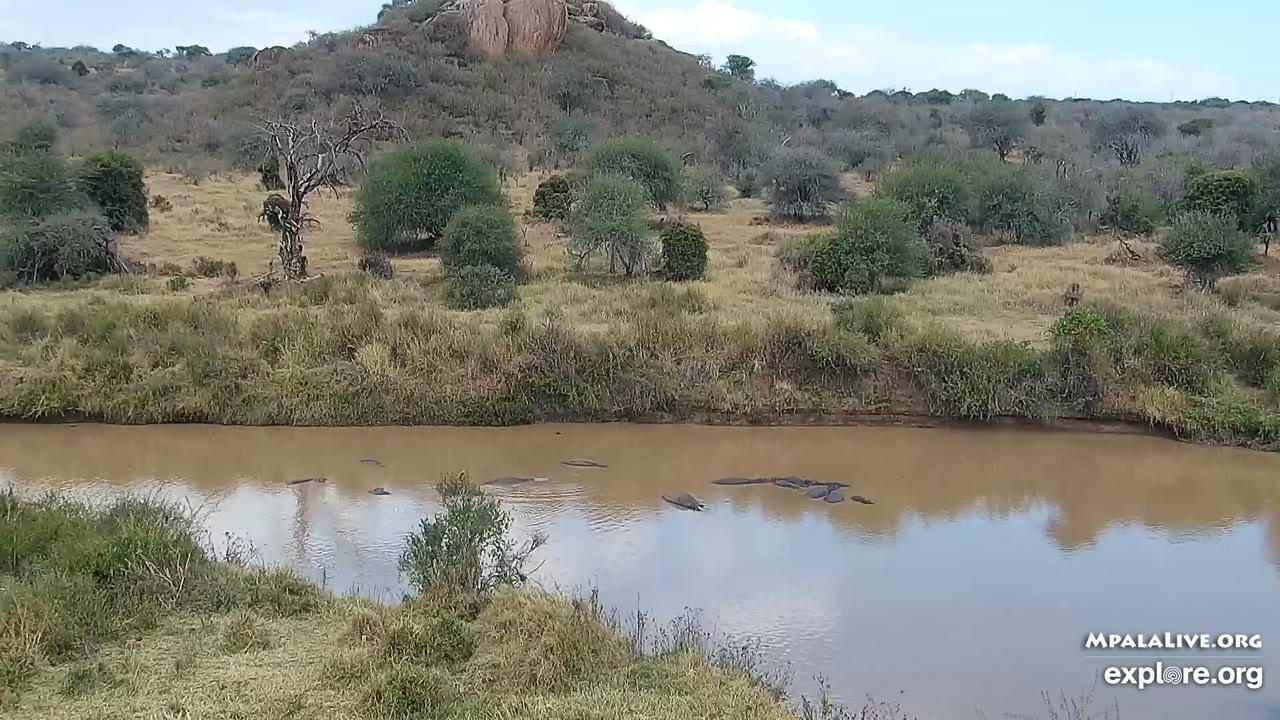 Nanyuki