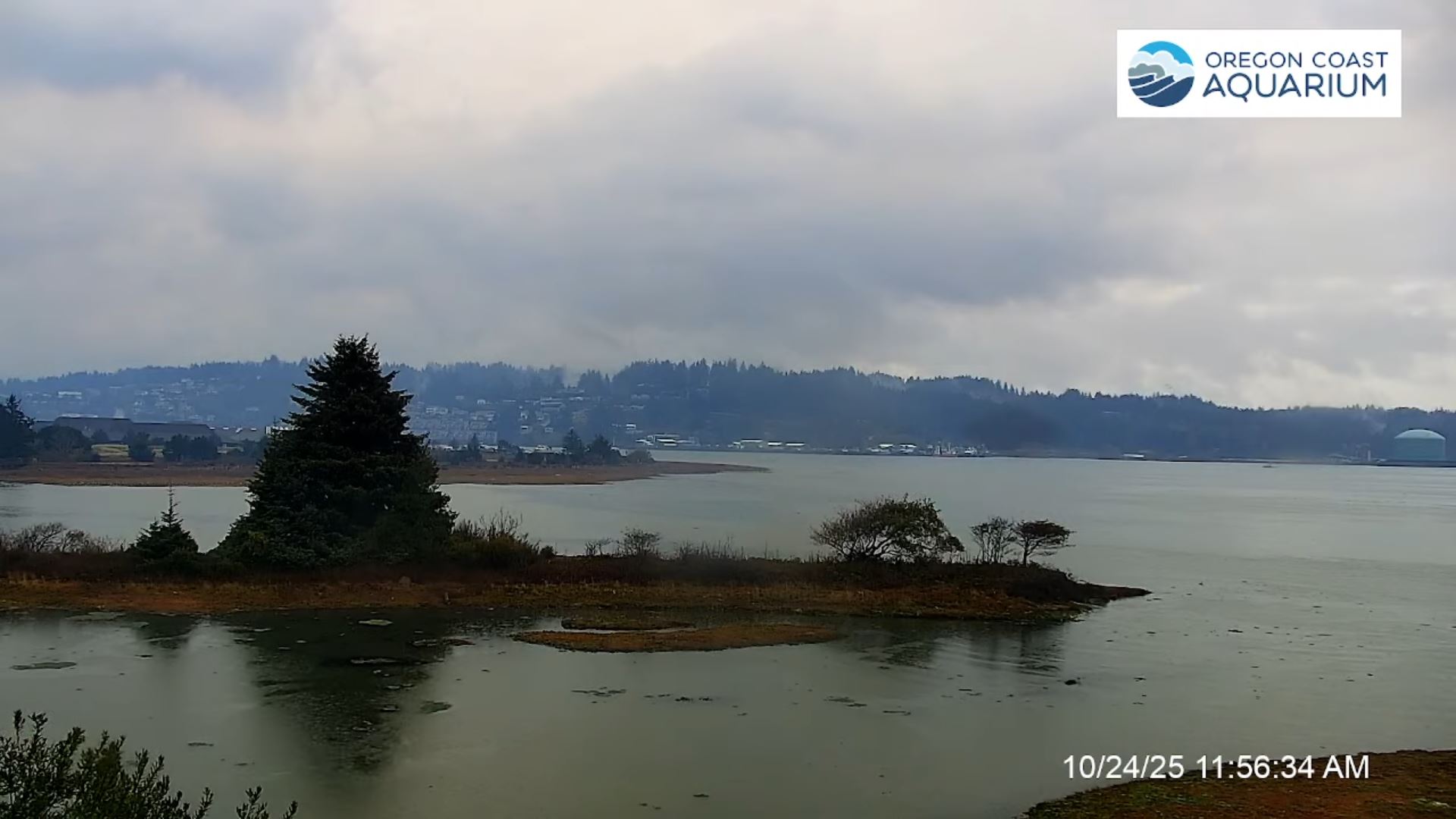 Webcam en direct de Newport, Oregon, USA