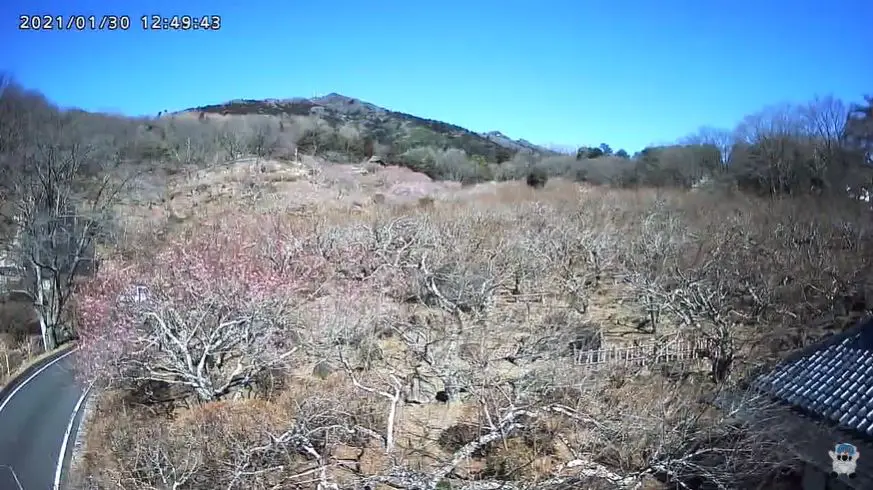 Webcam en direct de Nyotaisan Station, Ibaraki, Japon