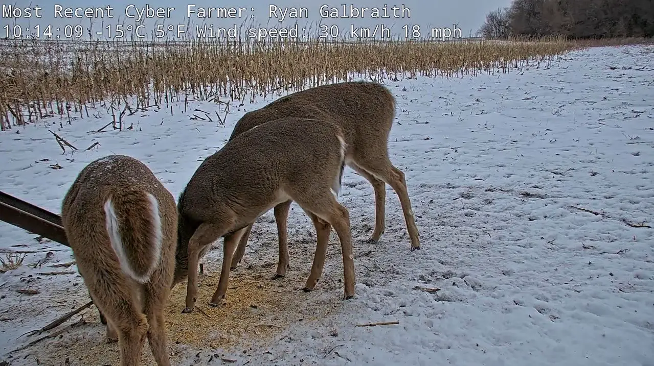 Webcam en direct de Cambridge, Kansas, USA