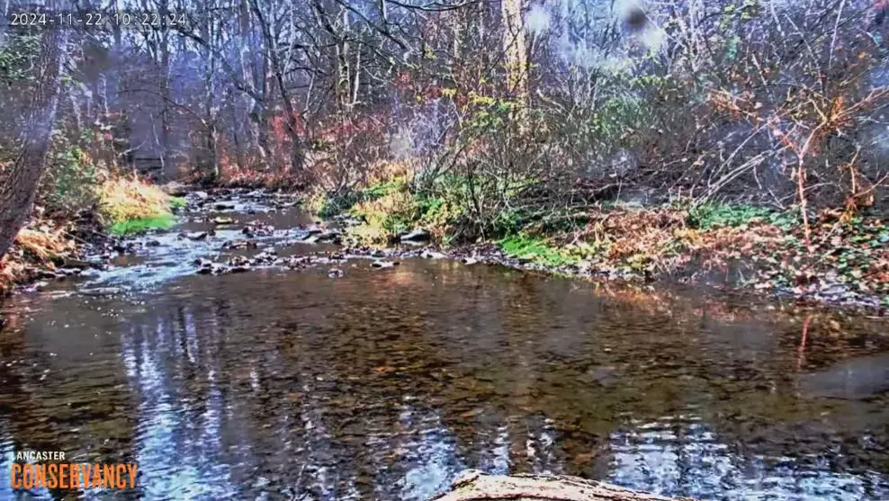 Webcam en direct de Pequea, Pennsylvanie, USA