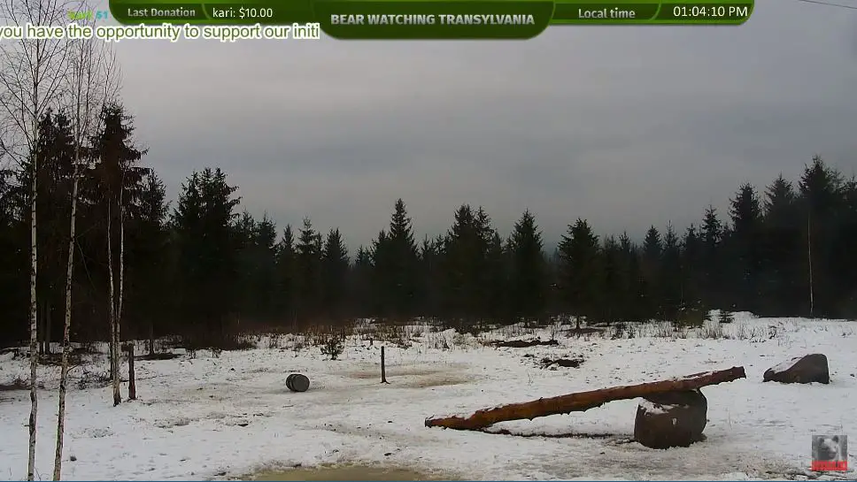 Webcam en direct de Piatra Fantalene, Tiha Bargaului, Roumanie