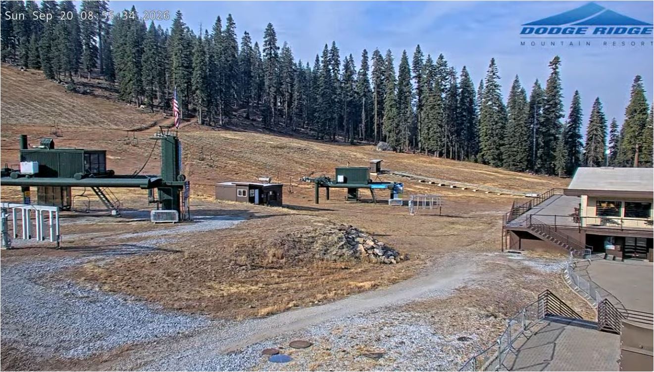 Pinecrest