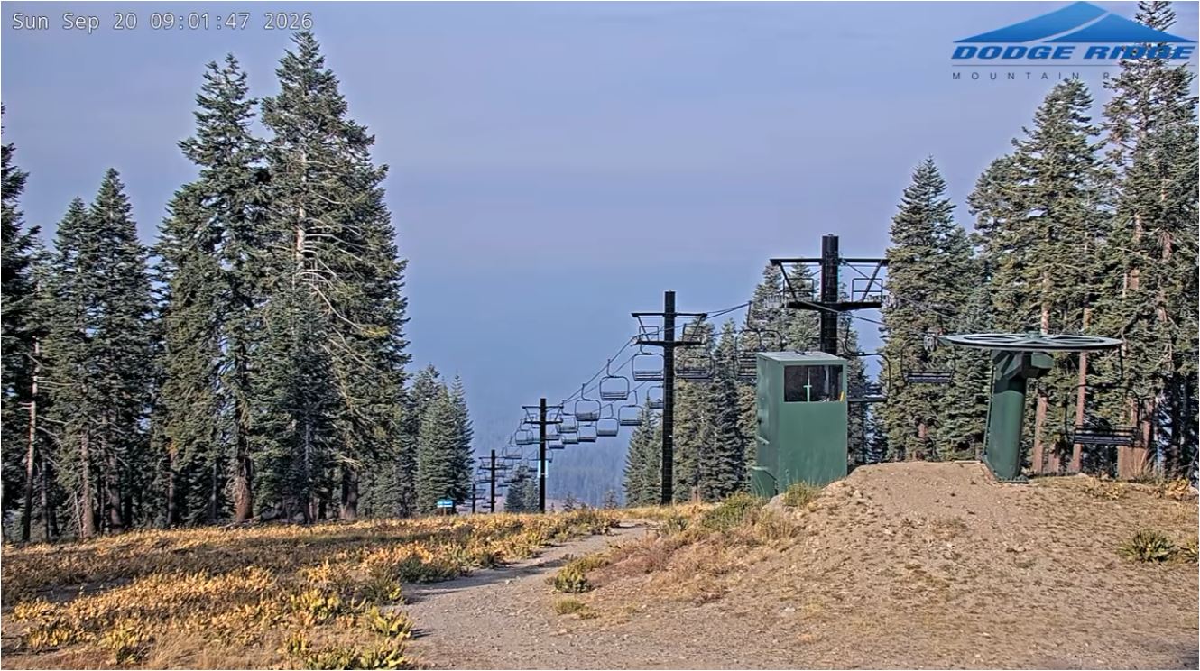 Pinecrest