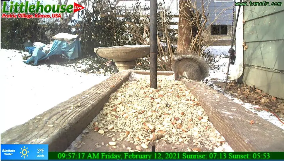 Webcam en direct de Prairie Village, Kansas, USA