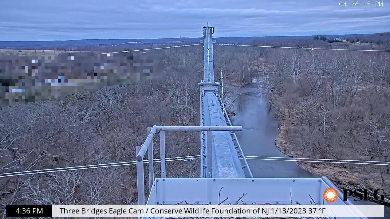 Webcam en direct de Readington Township, New Jersey, USA
