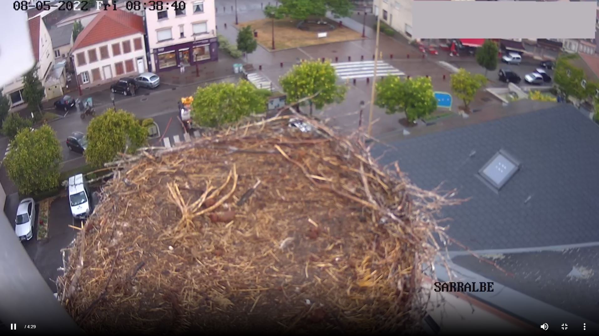 Webcam en direct de Sarralbe, Grand-est, France