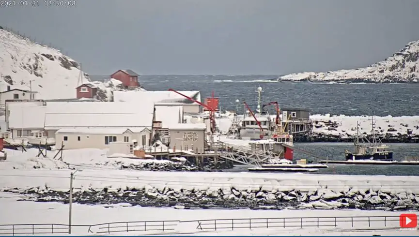 Webcam en direct de Skarsvag, Finnmark, Norvège