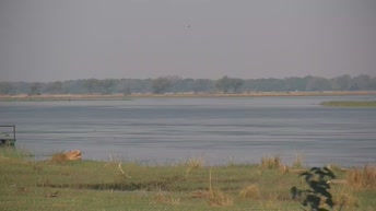 Lower Zambezi
