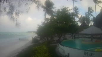 Michamvi