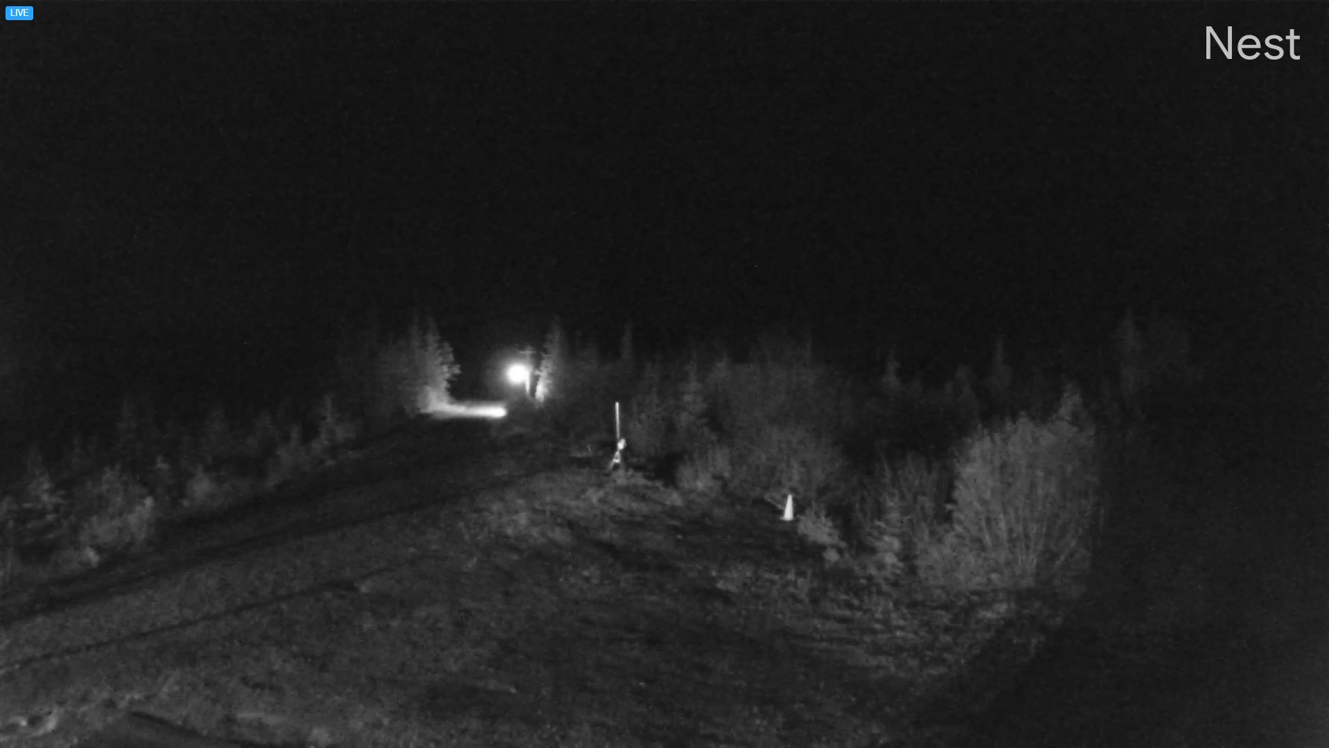 Webcam en direct de St Paul, Alaska, USA