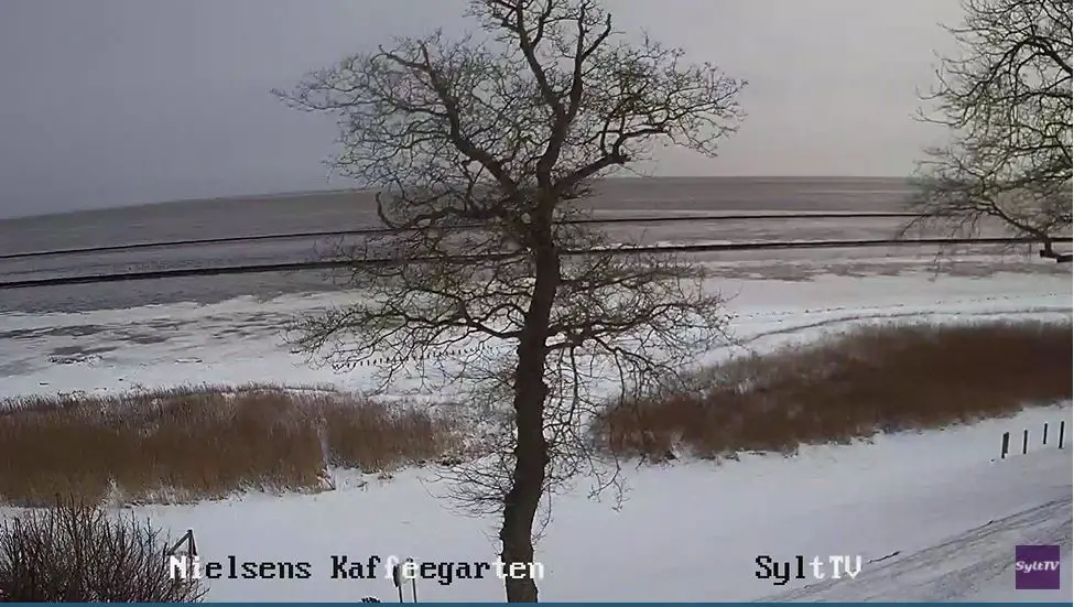 Webcam en direct de Sylt, Schleswig-Holstein, Allemagne