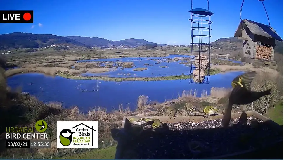 Webcam en direct de Urdaibai, Pays Basque, Espagne