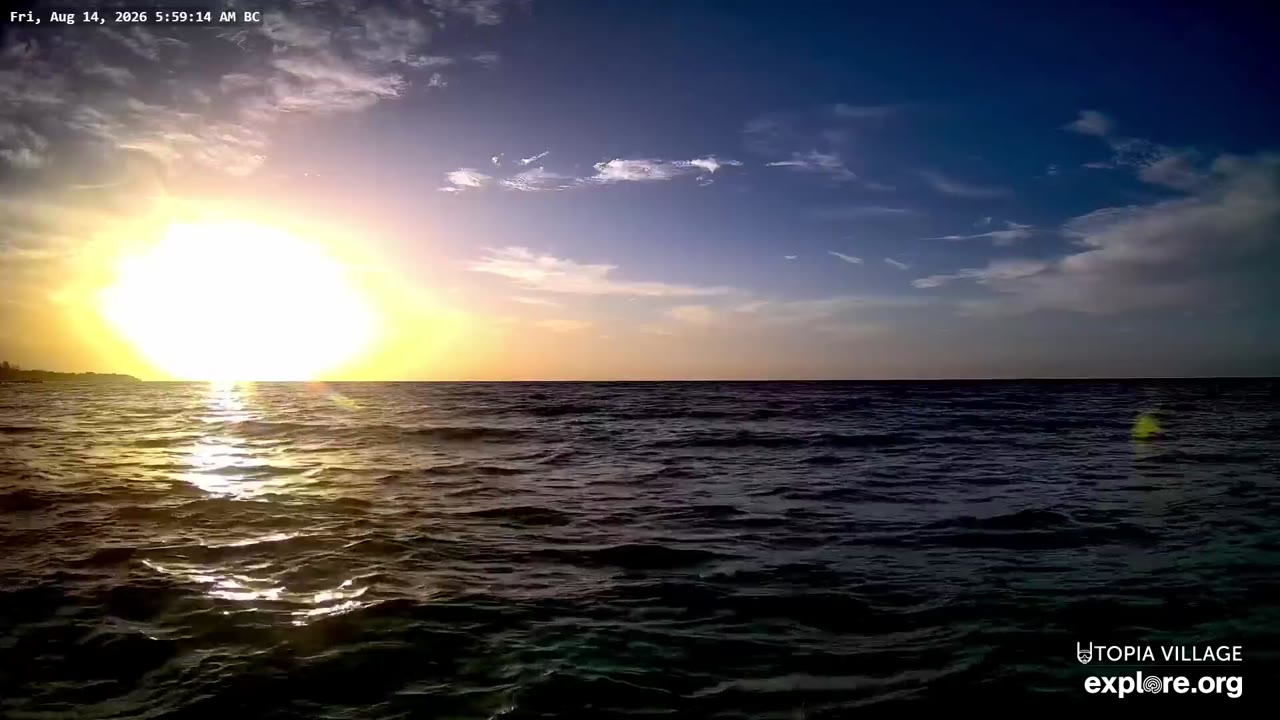Utila