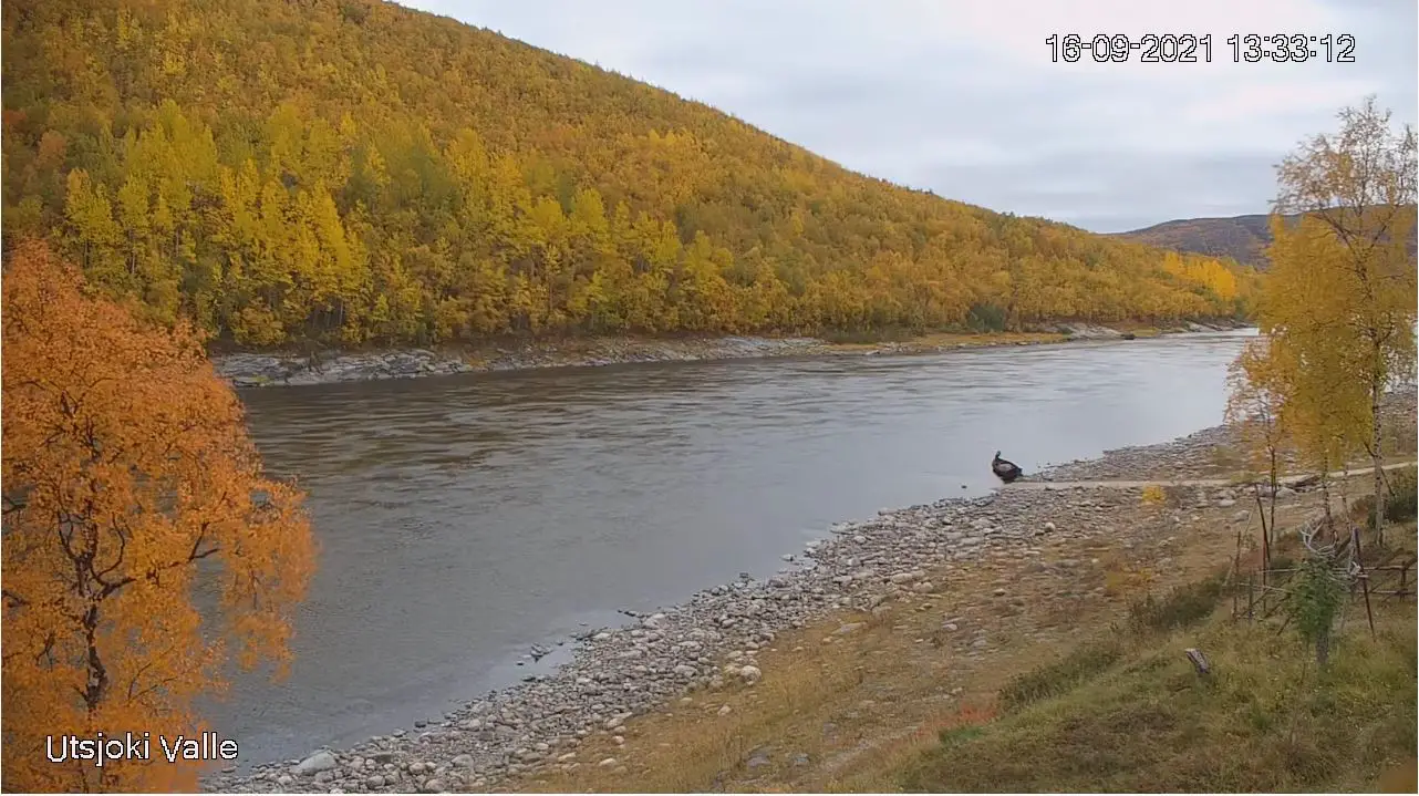 Webcam en direct de Utsjoki, Laponie, Finlande