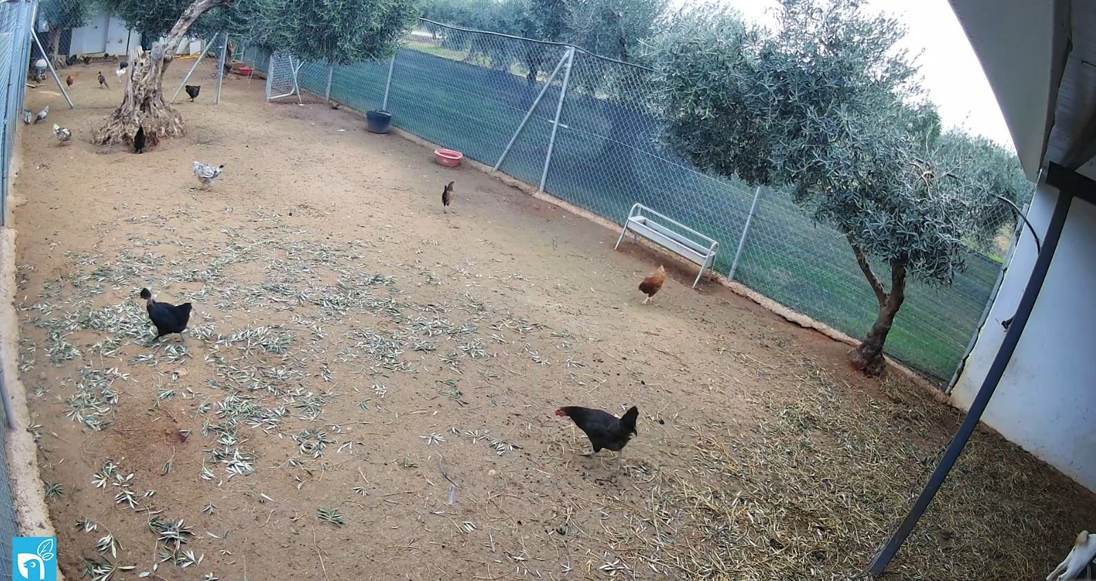 Webcam en direct de Valdetorres, Communauté autonome d'Estrémadure, Espagne