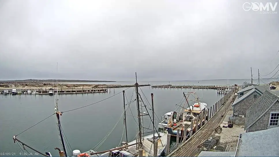 Webcam en direct de Vineyard Haven, Massachusetts, USA