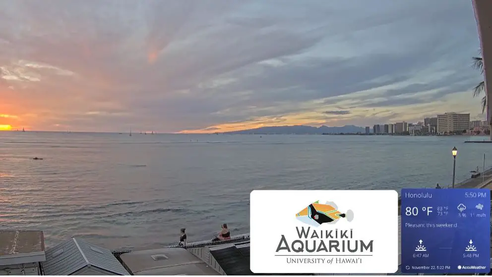 Webcam en direct de Waikiki, Hawaï, USA