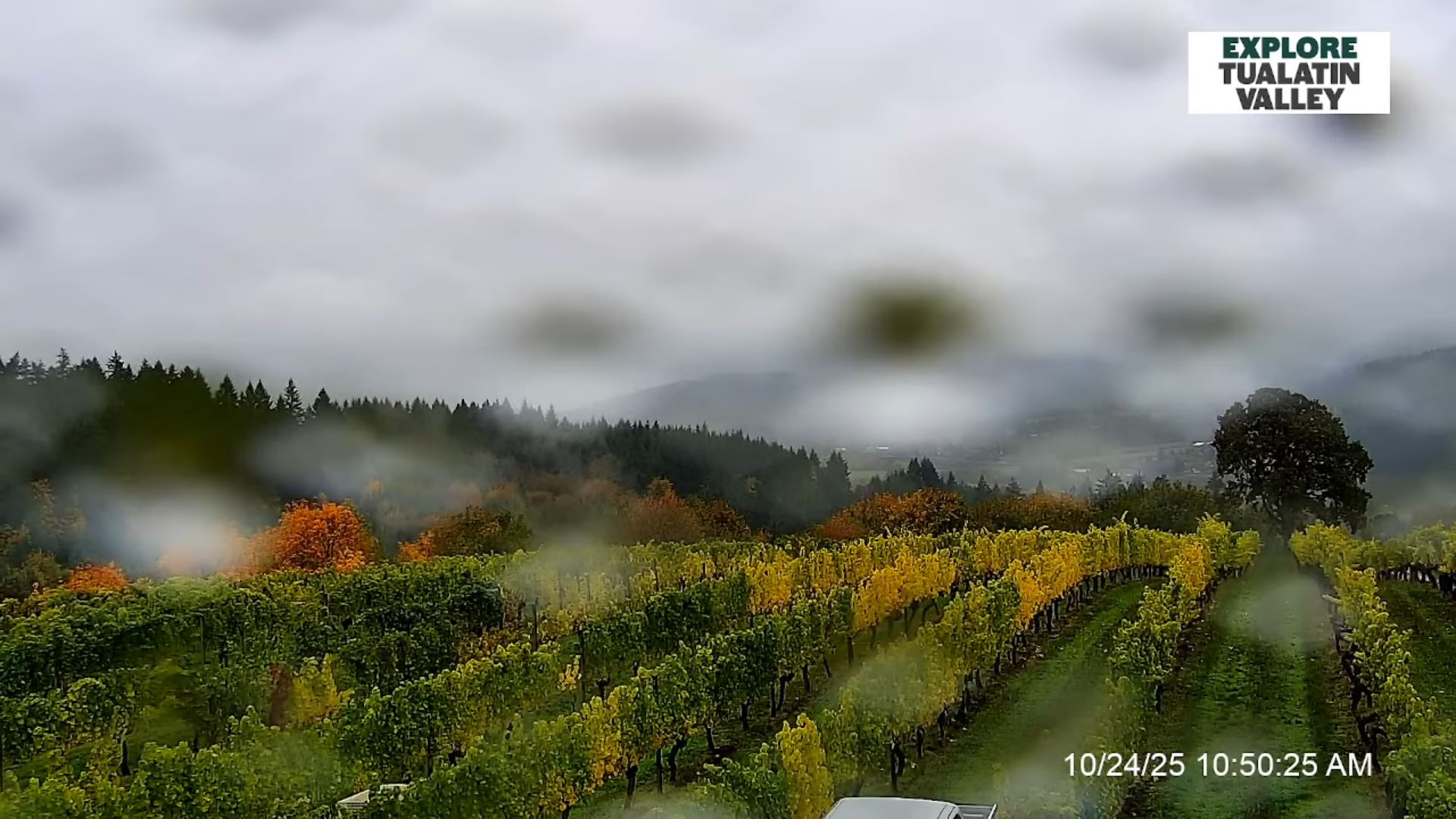 Webcam en direct de West Linn, Oregon, USA