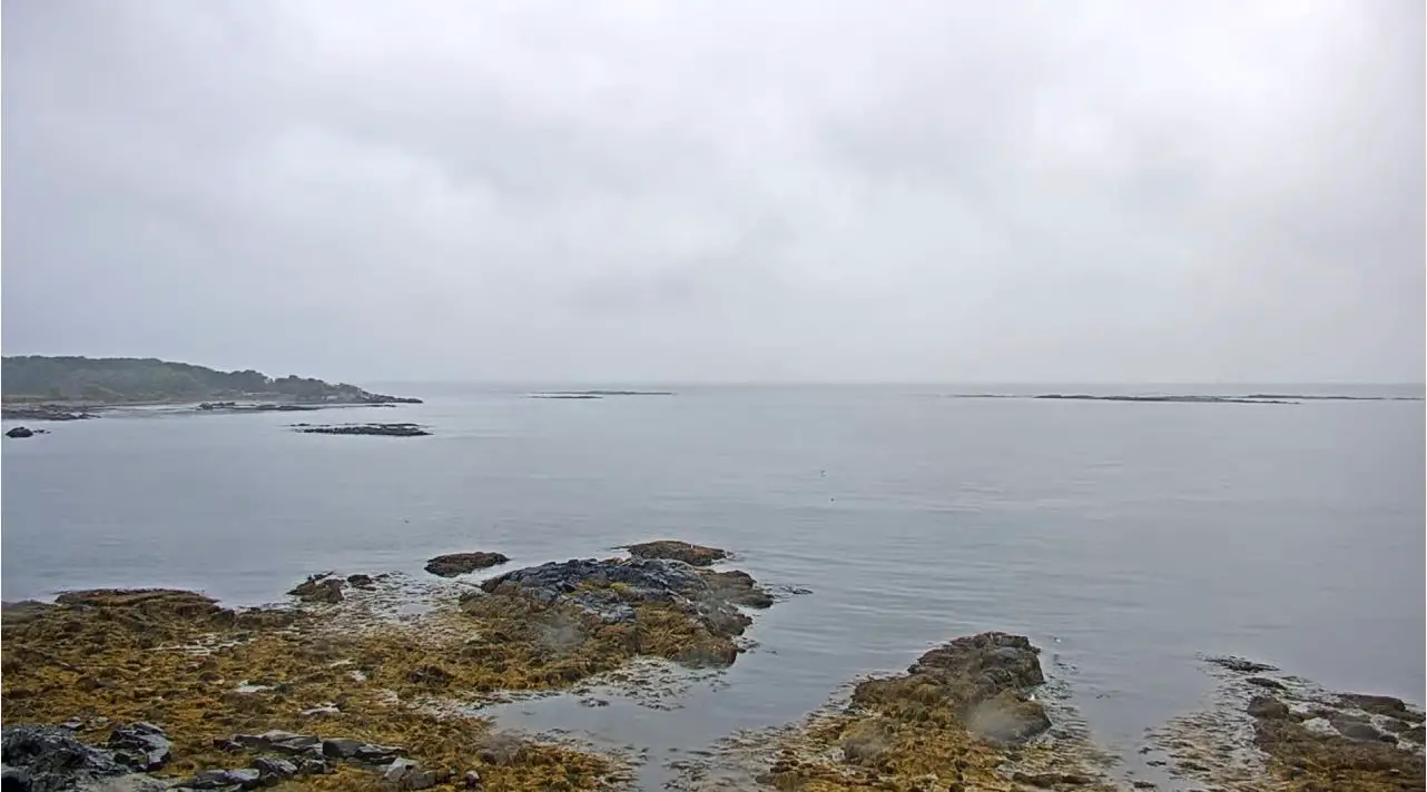 Webcam en direct de Wood Island, Maine, USA