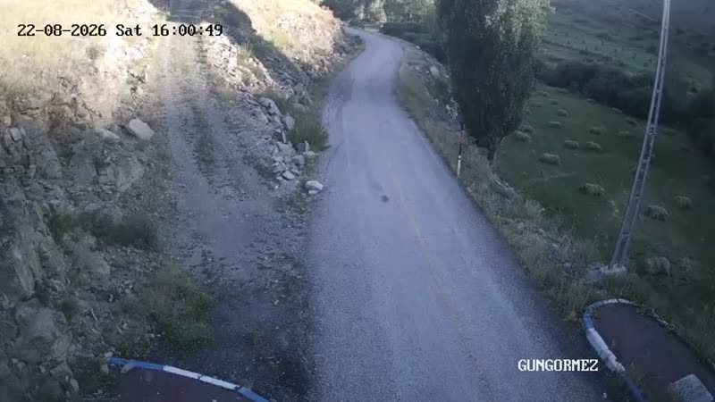 Gülpınar