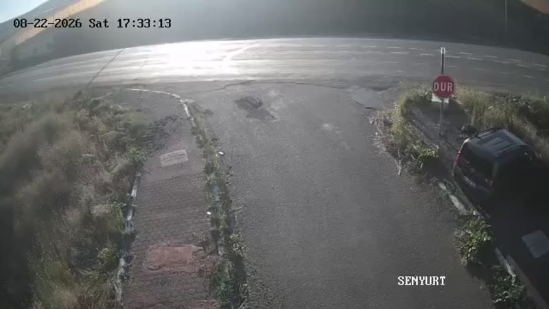Söğütyanı