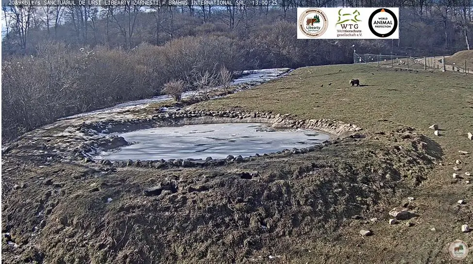Webcam en direct de Zarnesti, Brasov, Roumanie